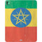 Ethiopia Flag Distressed iPad Pro 13in M4 (2024) Skin